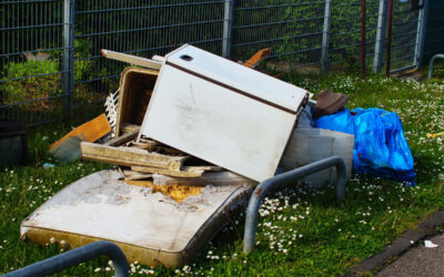 Clear Out Your Space with a Summer Yard Cleanout